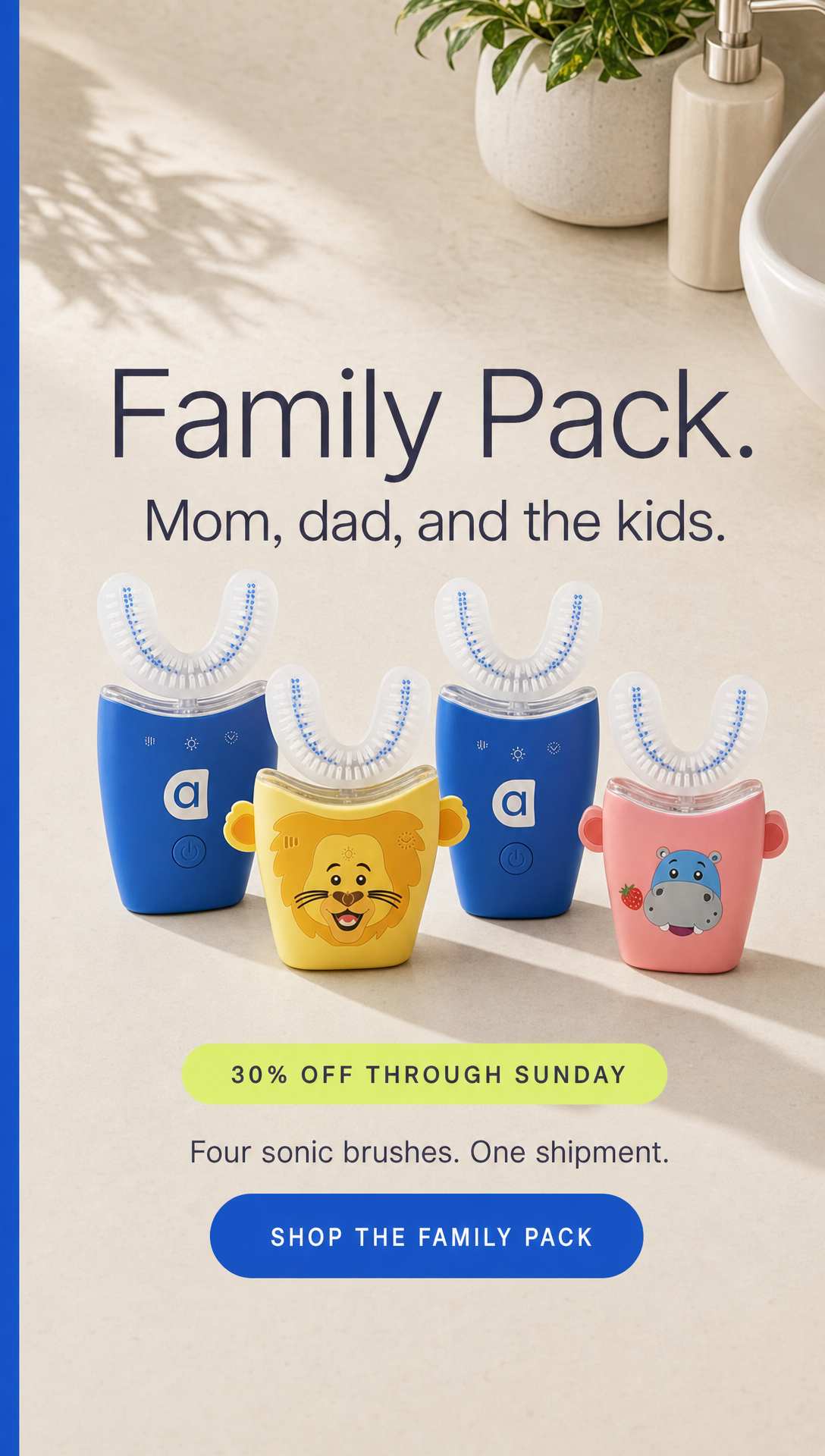 18. Offer · Family Pack Deal · Deal Seeker
